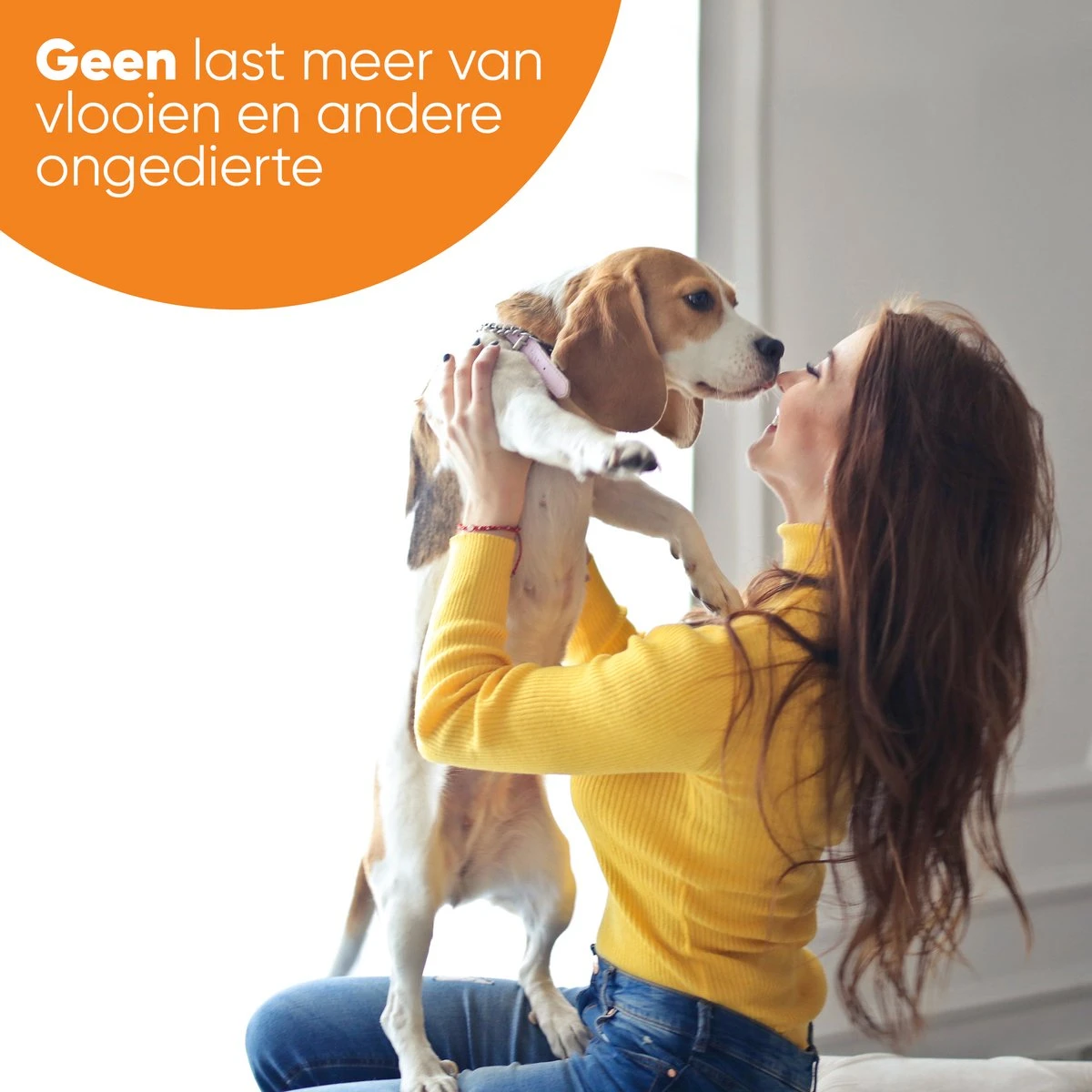 Nafurapets Vlooienband Voor Hond – Anti Vlooien – Teken Band – 100% Natuurlijk – 8 Maanden Bescherming – Grote & Kleine Hond - Afbeelding 7