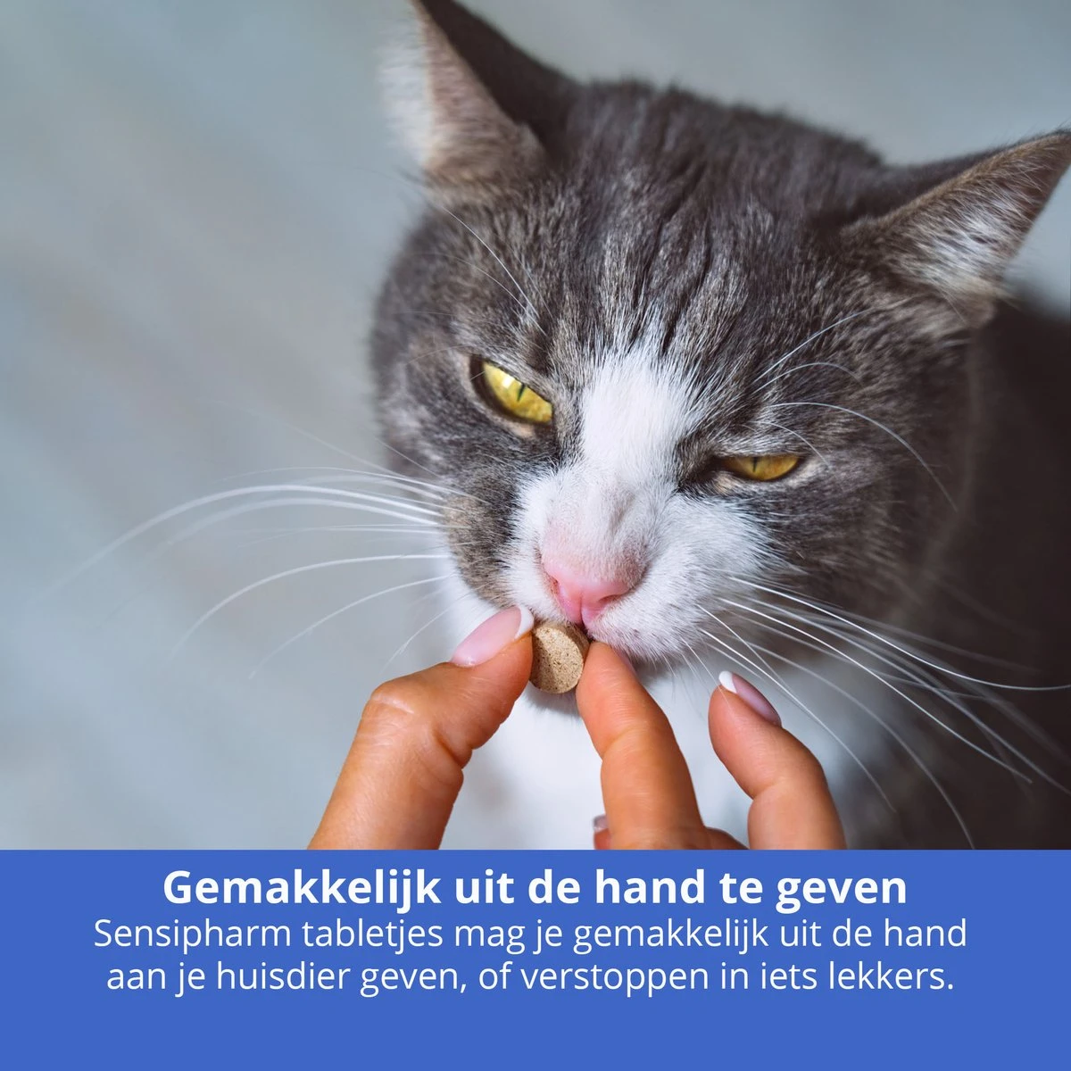 Sensipharm Urologist Aid Voor Kat, Hondje, Cavia, Konijn - Bij Blaasontsteking, Blaasgruis, Struviet, Oxalaat & Nierstenen - 90 Tabletten à 250 Mg - Afbeelding 6