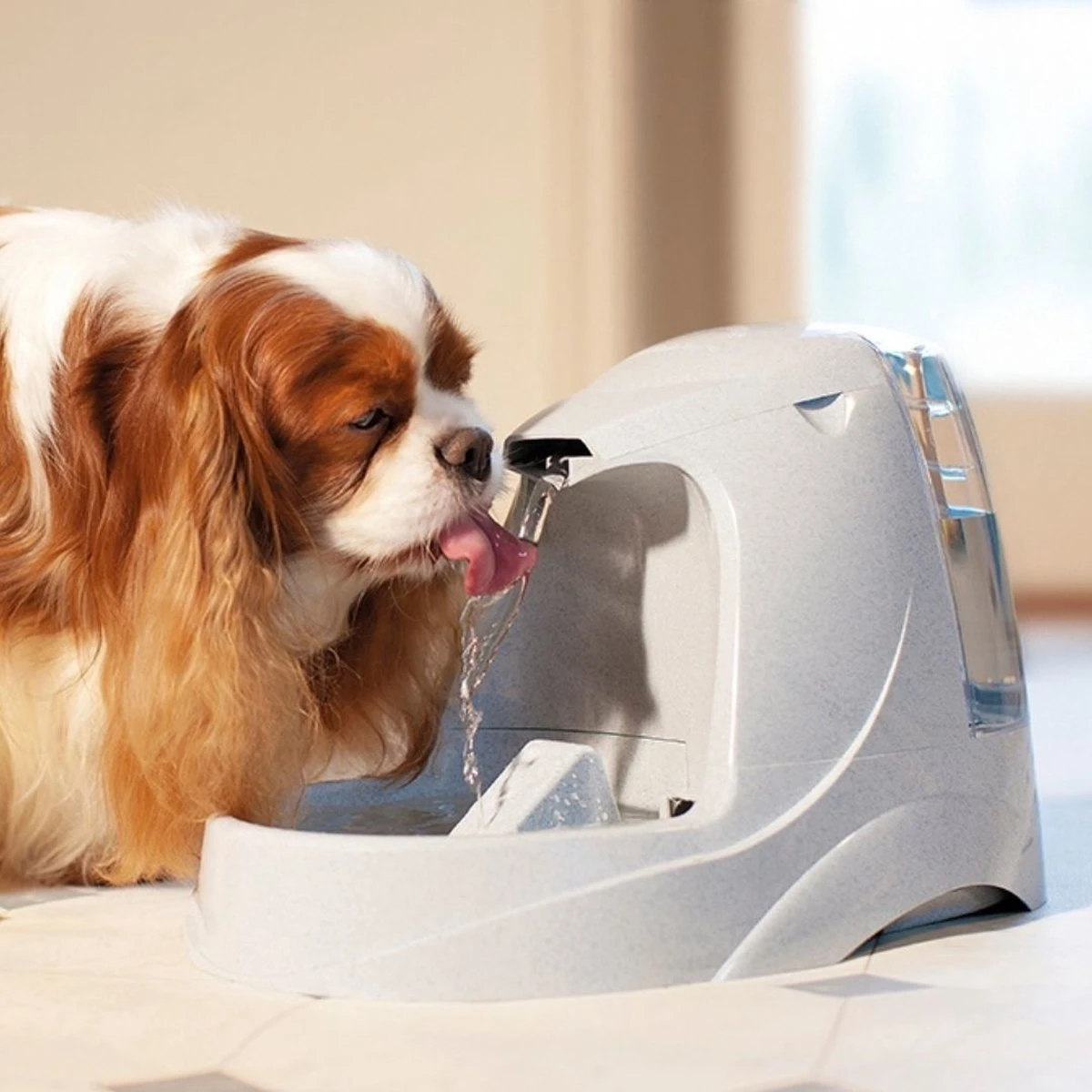 Petsafe Drinkwell Platinum - Drinkfontein - 5 L - Afbeelding 2