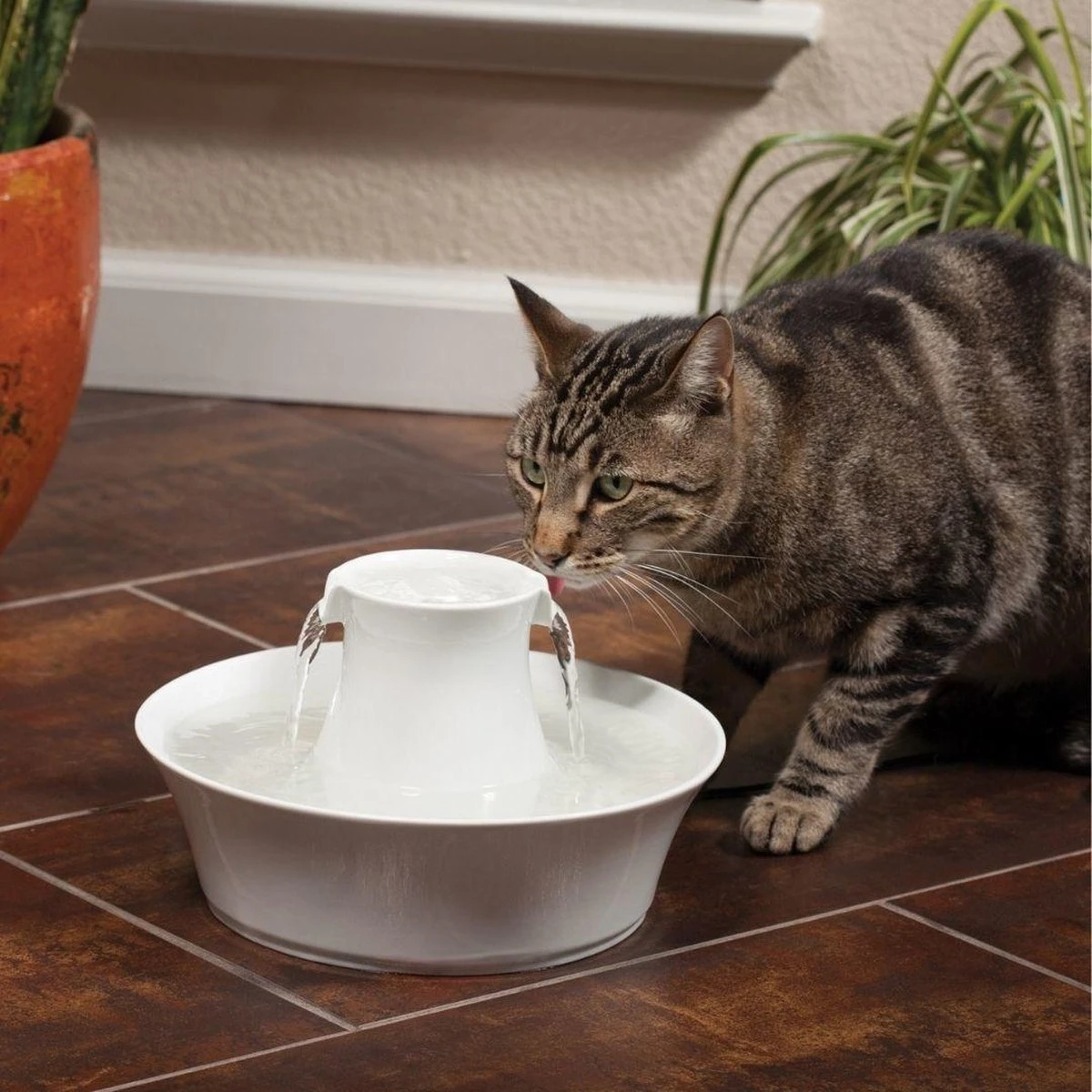 Petsafe Drinkwell Ceramic Avalon - Drinkfontein - 2 L - Afbeelding 3