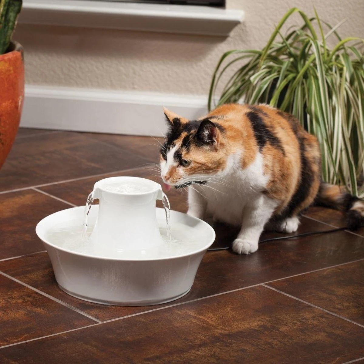 Petsafe Drinkwell Ceramic Avalon - Drinkfontein - 2 L - Afbeelding 4