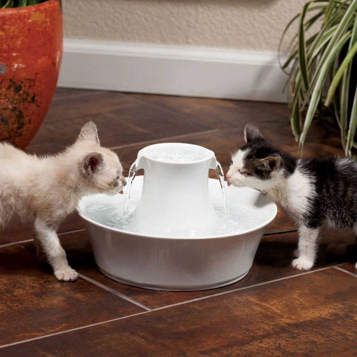 Petsafe Drinkwell Ceramic Avalon - Drinkfontein - 2 L - Afbeelding 6