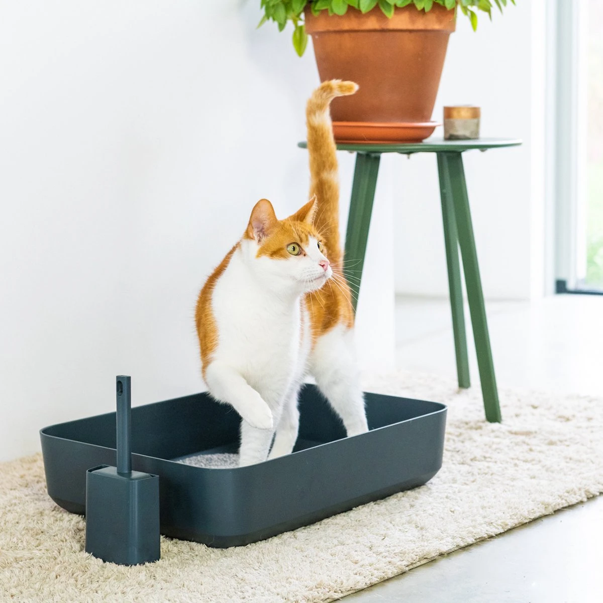 Hoopo® Poh Kattenbak Grijs - Open Kattenbak - Design Kattenbak - Kattenbakschep - 50x37.5x12.7 Cm - Grote Kattenbak - Afbeelding 3