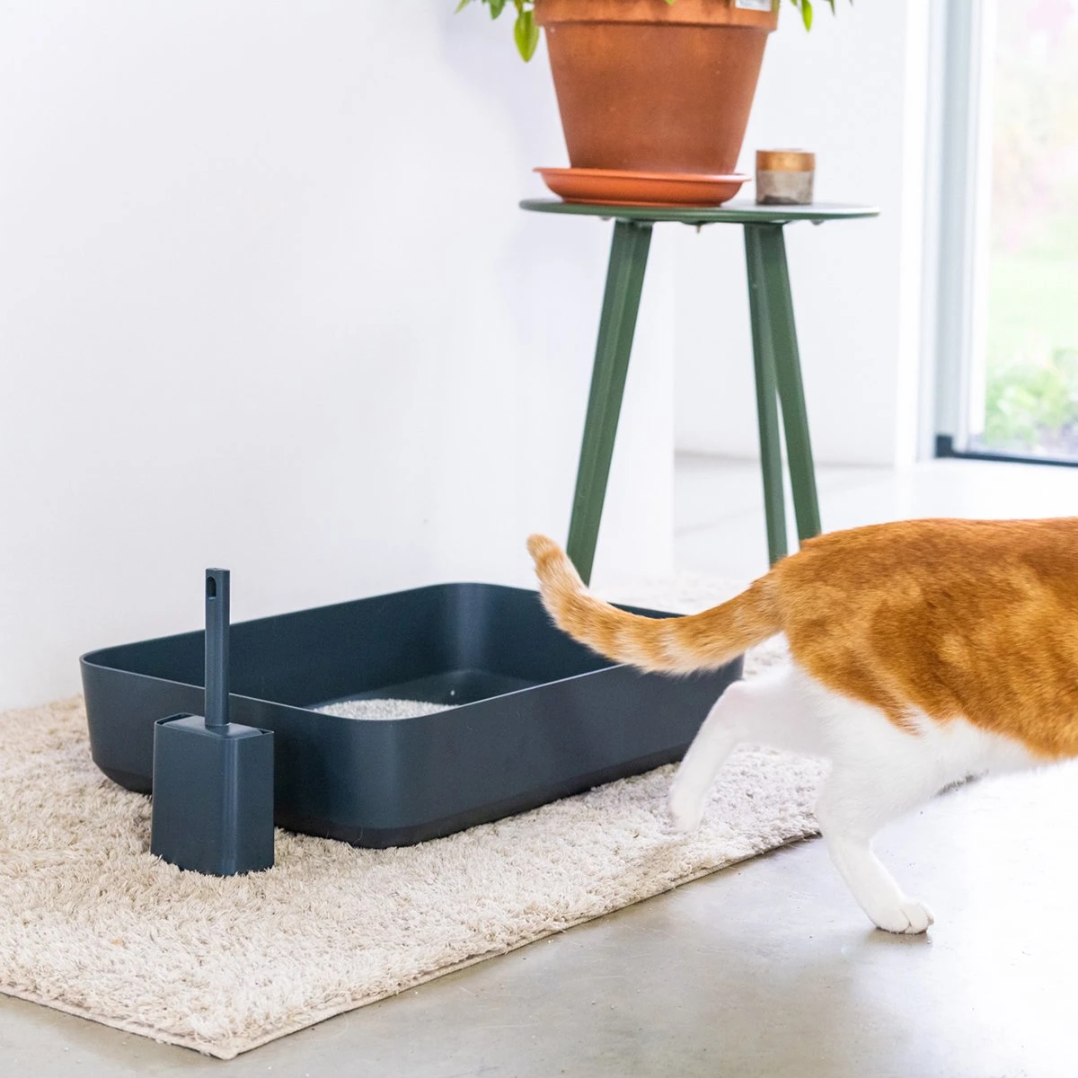 Hoopo® Poh Kattenbak Grijs - Open Kattenbak - Design Kattenbak - Kattenbakschep - 50x37.5x12.7 Cm - Grote Kattenbak - Afbeelding 6