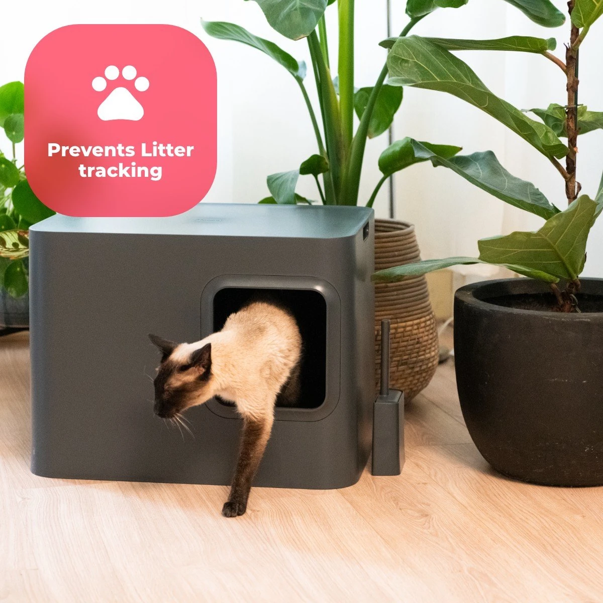 Hoopo® Dome Kattenbak Grijs - Kattenbak - Kattenbakschep - Kattenbakmat - Afbeelding 9