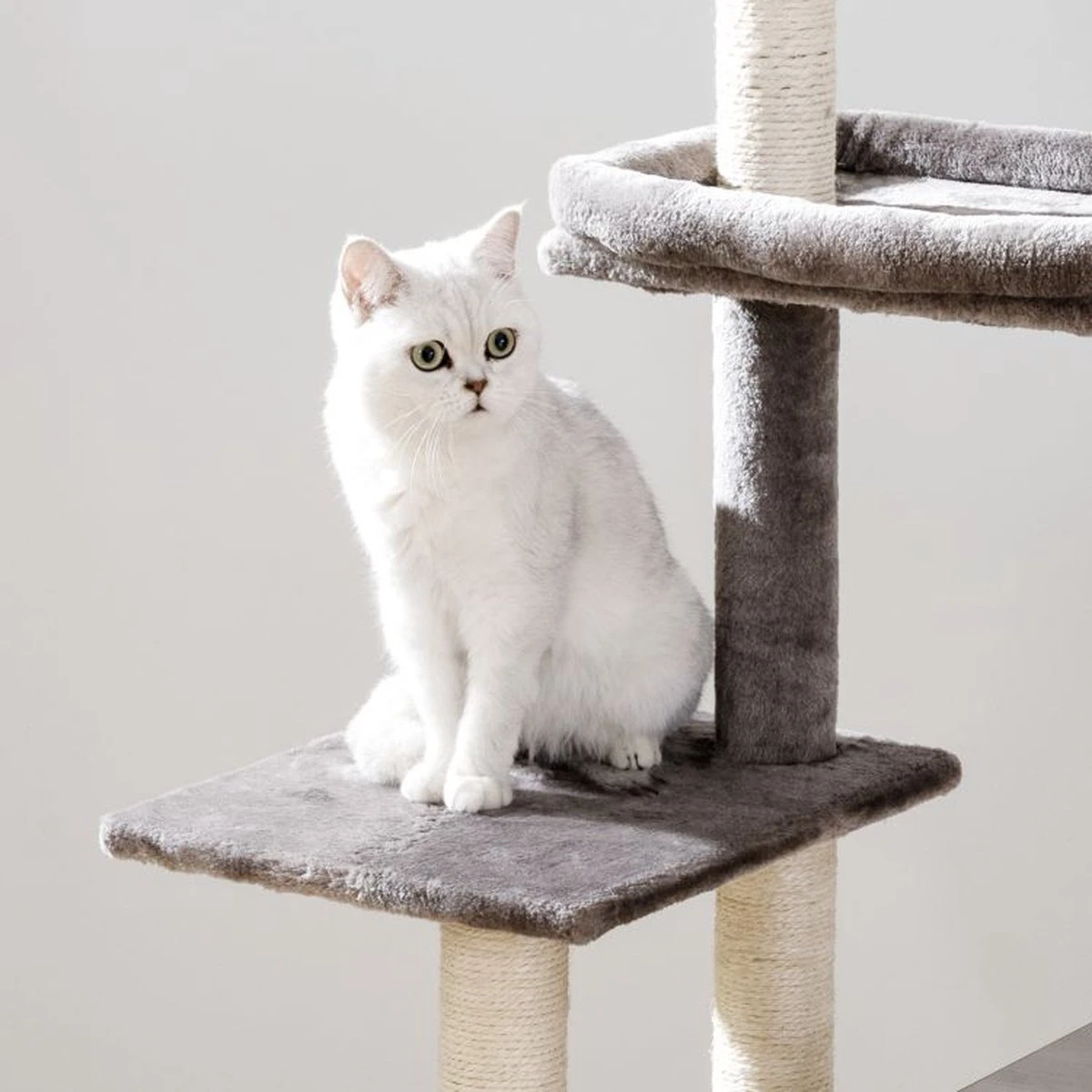 Signature Home Catty Krabpaal Met Kattenbak - Kattenbakkast - Kattenhuis Met Deur En Slot - Krabpalen Met Hangmat Mand Katten Huis - Kattenbakmeubel Verborgen - Alles-in-één Kattenspeelgoed Met Kattenhuis - Grijs - 60cm X 150cm X 48cm - Afbeelding 8