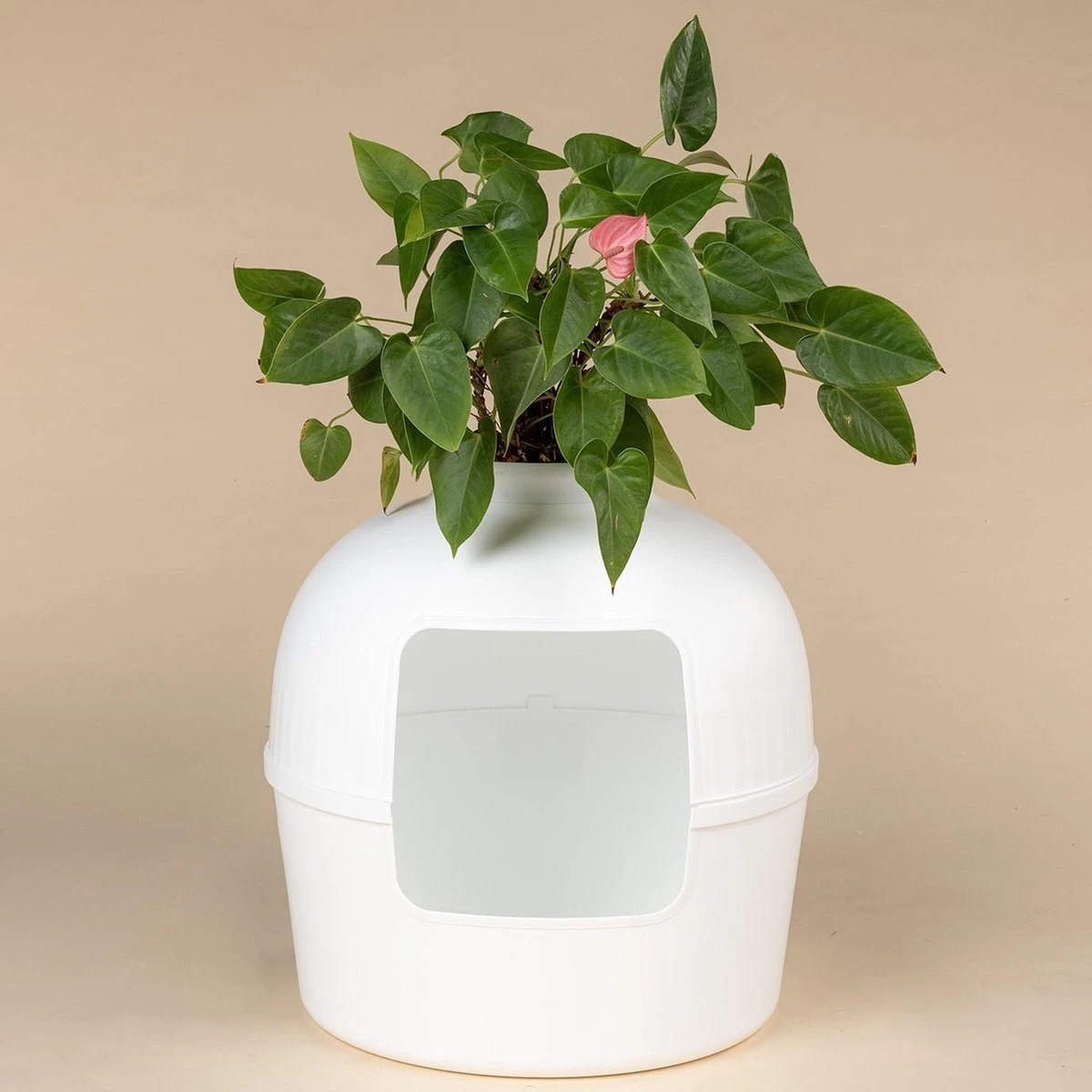 XXL Kattenbak – Verborgen Kattentoilet – Flower XXL Wit Voor Grote Katten Van RHRQuality - Afbeelding 2