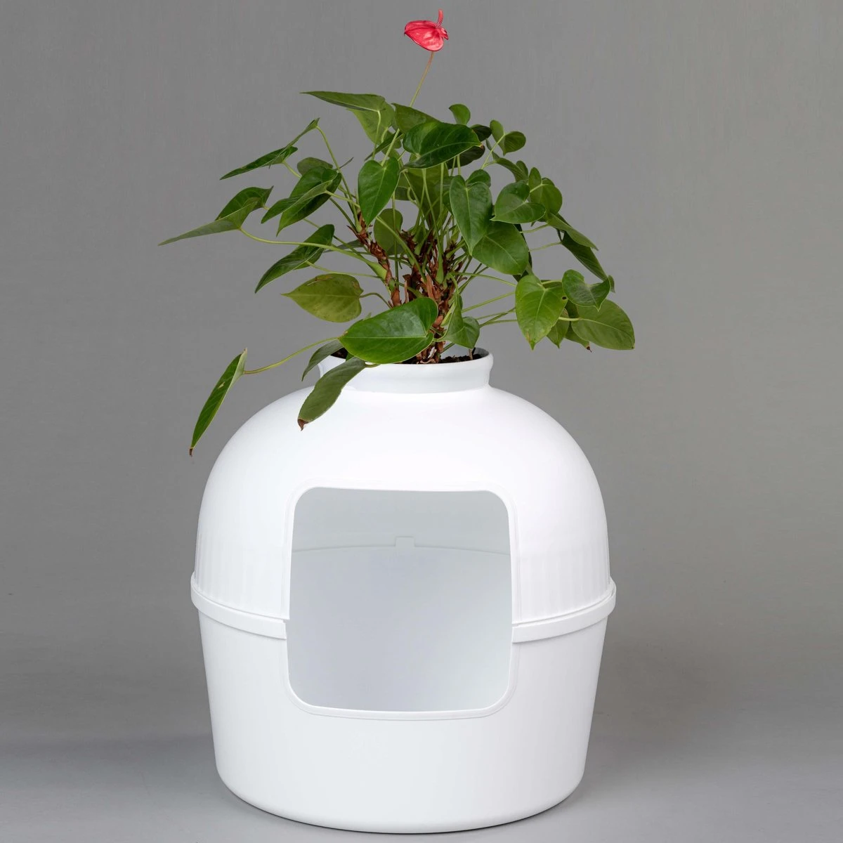 XXL Kattenbak – Verborgen Kattentoilet – Flower XXL Wit Voor Grote Katten Van RHRQuality - Afbeelding 5