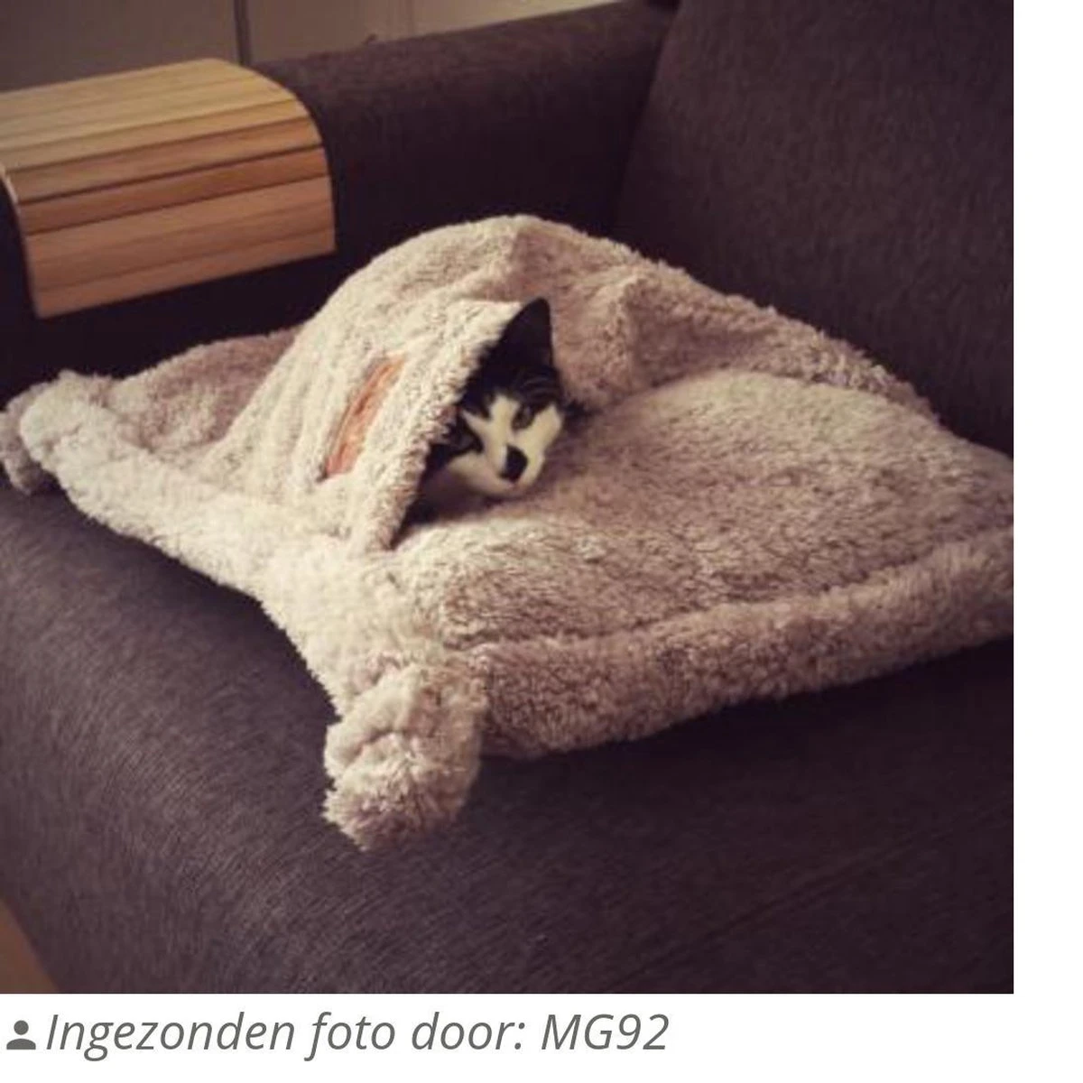 Happy Pet Hugs Snuggle Kattenslaapzak - Grijs - 50 X 50 Cm - Afbeelding 2