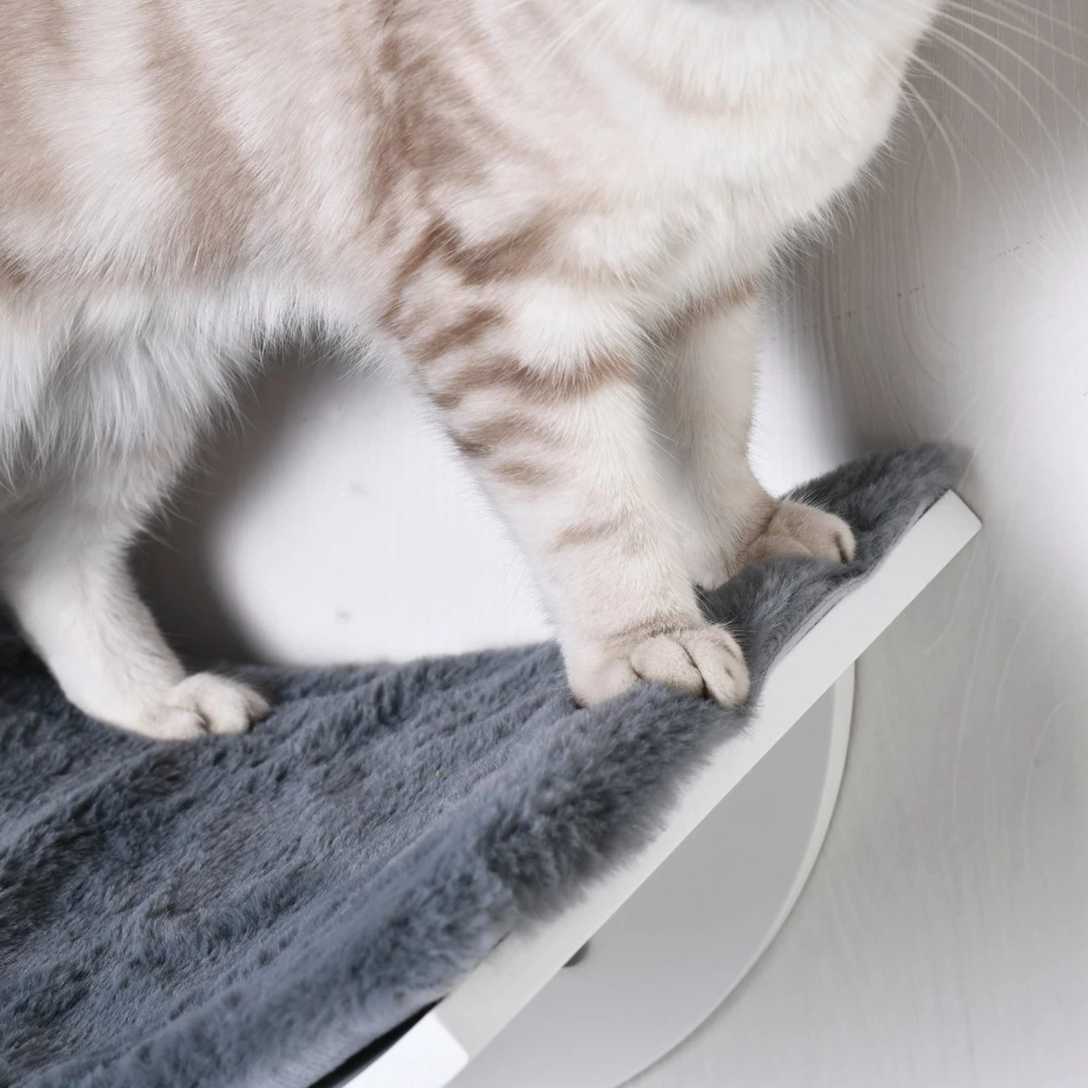 Merkloos Paws And Claws - Cat Shelf – Hangmat Kat – Kattenplank - Kattenbed - Wasbaar – Wandmontage – MDF - Wit - Afbeelding 7