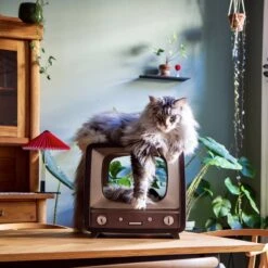 District 70 TELLY - Retro TV Krabmeubel - Instagrammable Kartonnen TV Voor Katten - 39 X 27 X 37 Cm