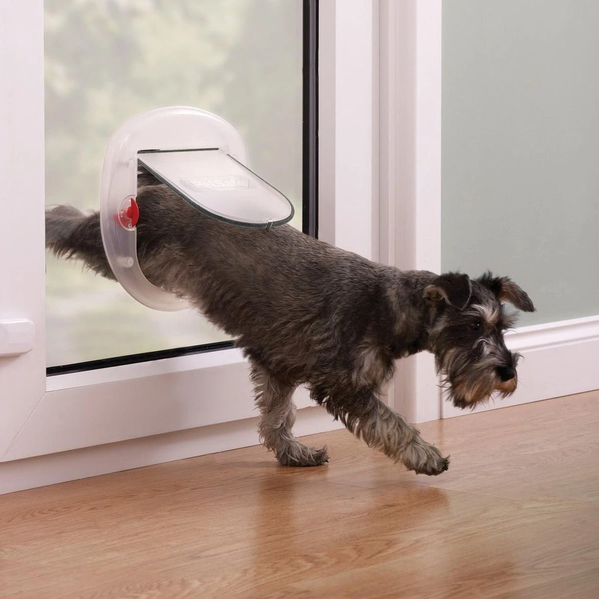 Petsafe 200 Kattenluik - Wit - L - 29,4 X 29,5 X 5 Cm - Afbeelding 2