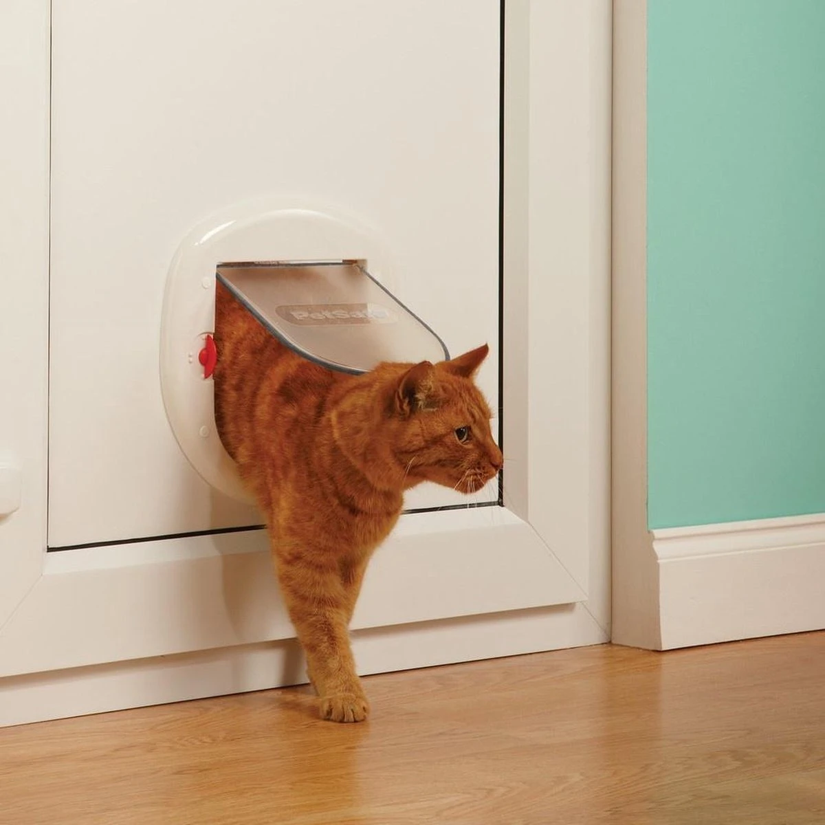 Petsafe 200 Kattenluik - Wit - L - 29,4 X 29,5 X 5 Cm - Afbeelding 8