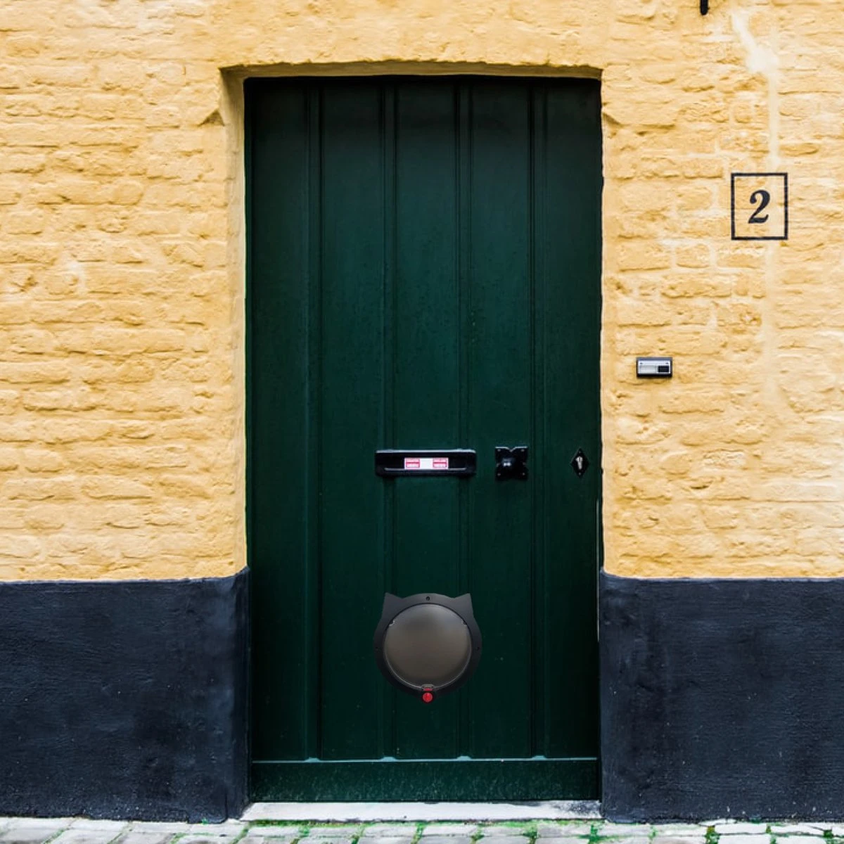 Cellavi XL Kattenluik Zwart Met Tunnel - Hondenluik - 4 Vergrendelingsstanden - 30,5 X 27,5 X 7,5 Cm - Afbeelding 5