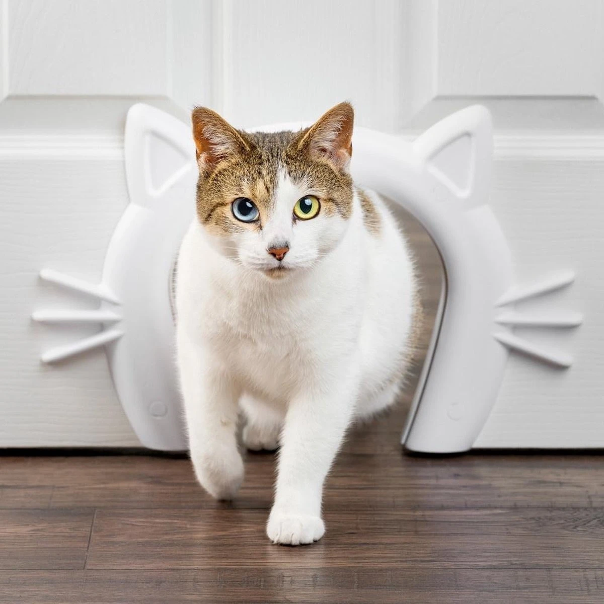 PetSafe Staywell® Cat Corridor - Kattendoorgang Voor Binnenshuis - Overschilderbaar Design - Voor Katten Tot 9 Kg - Staywell Cat Corridor - Afbeelding 3