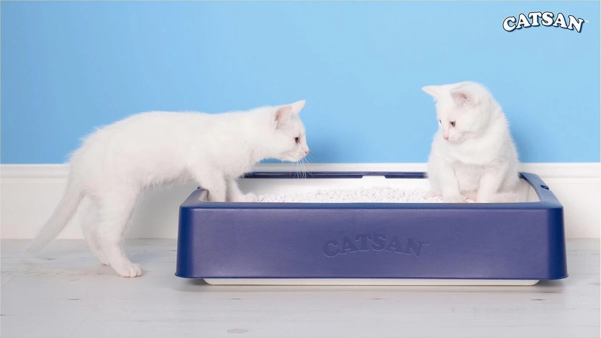 Catsan Hygiene Plus - Kattenbakvulling Geurabsorberend - 20 L - Afbeelding 8
