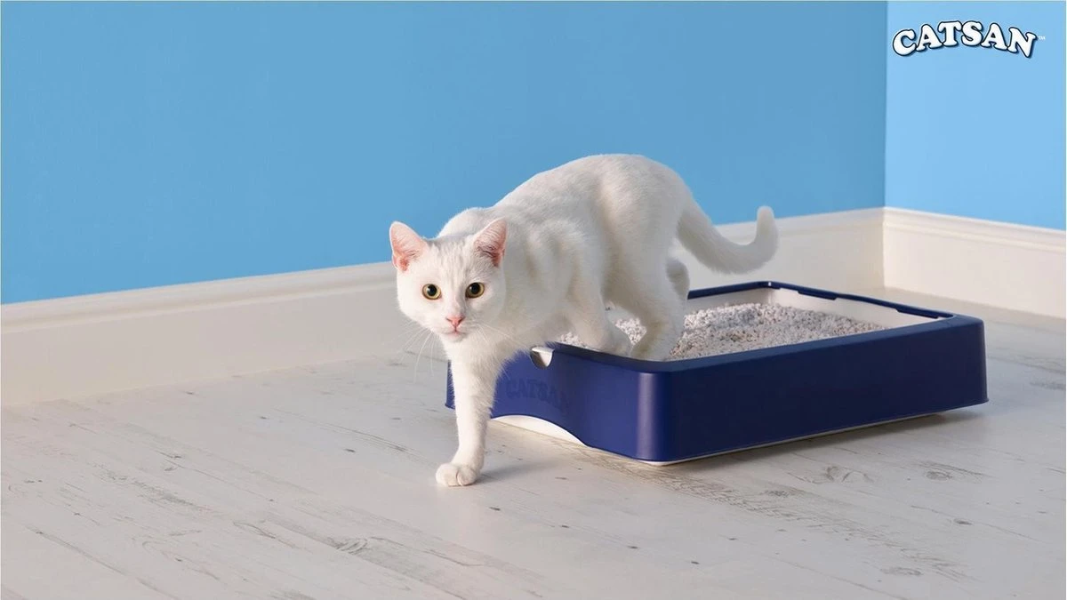 Catsan Hygiene Plus - Kattenbakvulling Geurabsorberend - 20 L - Afbeelding 7