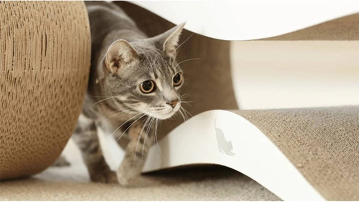 MyKotty LUI - Krabpaal - Wit - 75 X 25 Cm - Afbeelding 2