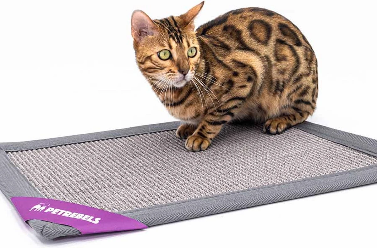 Petrebels Mastermat 60 Katten Krabmat - Grijs - 60 X 40 Cm - Zeer Sterk - Afbeelding 10