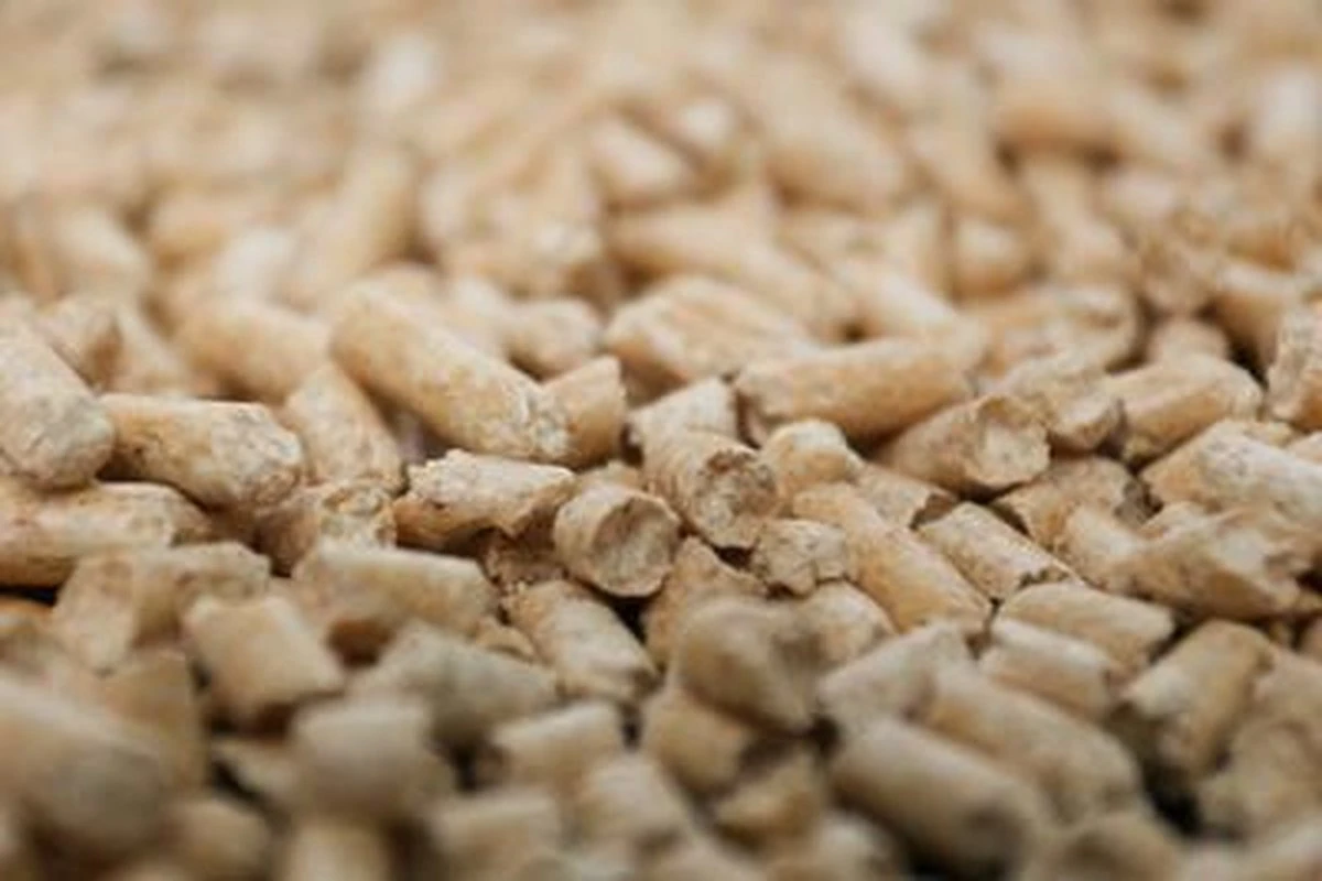 Peewee Houtkorrels - Kattenbakvulling - 3 Kg - Afbeelding 2