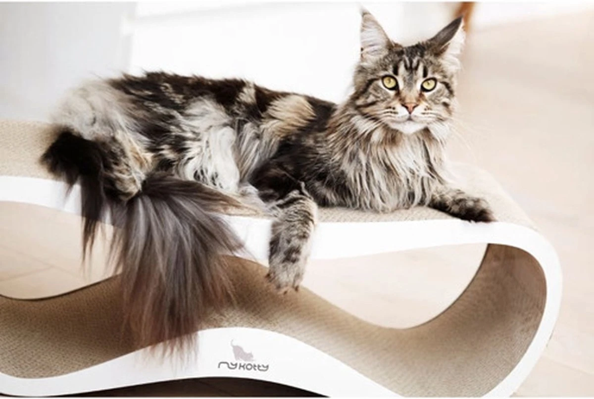 MyKotty LUI - Krabpaal - Wit - 75 X 25 Cm - Afbeelding 4