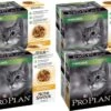 Pro Plan Cat NutriSavour Sterilised Multipack - Kattenvoer - Kip 40x85 G
