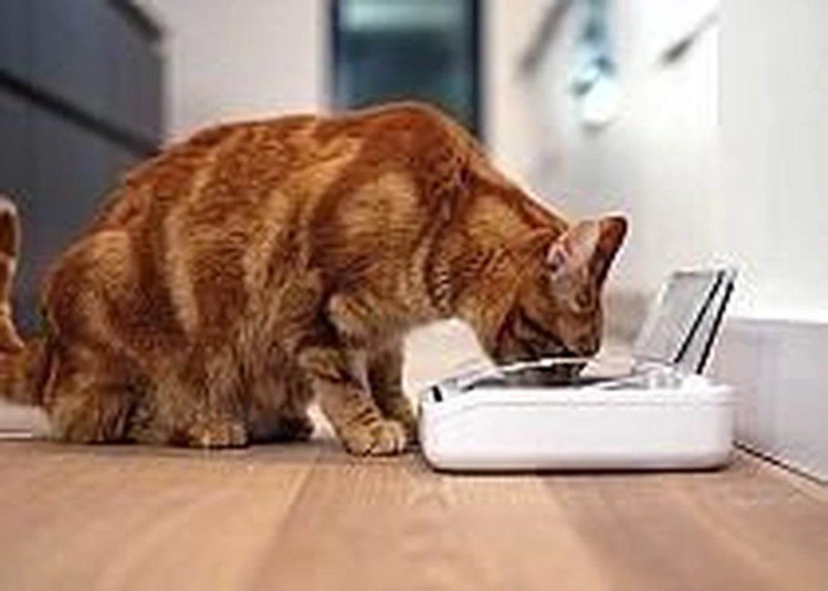 Surefeed Voerbak Afsluitbaar - Afbeelding 2