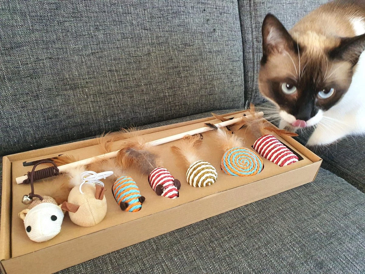 Make Life Beautiful® - Kattenspeeltjes Set - 7-delig - Kattenspeelgoed - Kattenhengel - Speelmuisjes - Kattenspeelgoed Set - Afbeelding 5