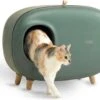 MakeSure Kattenbak Met Lade - Groen - 60 X 38 X 45 Cm - Design