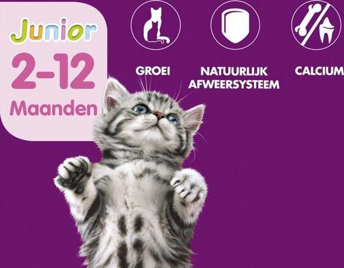 Whiskas Junior Katten Natvoer - Classic Selectie In Saus - 48 X 100g - Afbeelding 2