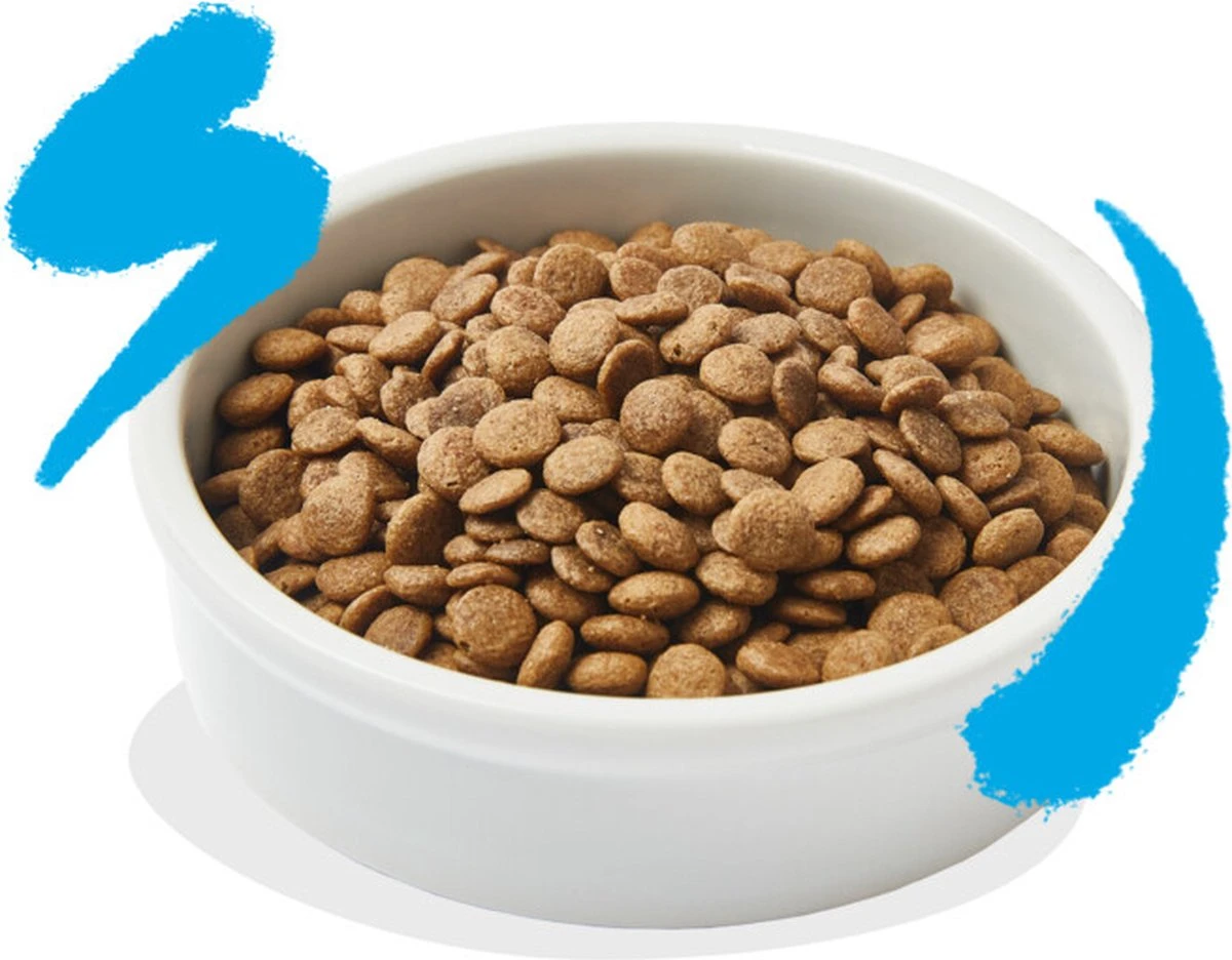 Edgard & Cooper Kattenvoer Adult Zalm 4 Kg - Afbeelding 4