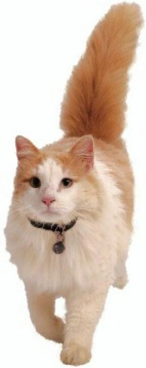 Petsafe 980 Kattenluik Magneetsleutel - Zilver - Afbeelding 6