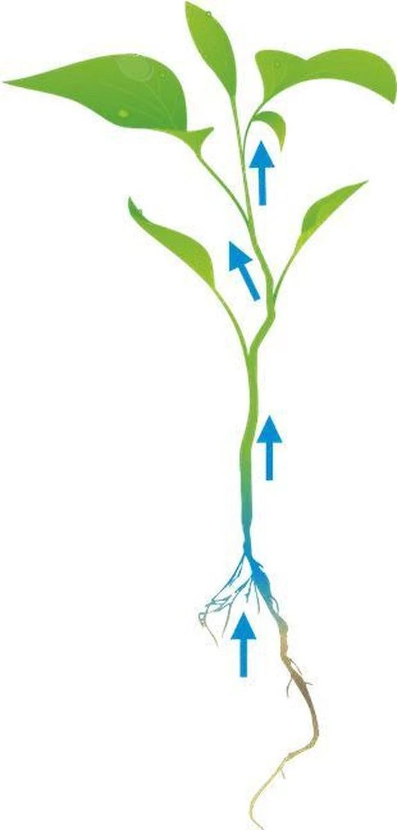 Cat's Best Smart Pallets - Kattenbakvulling - 10 L - Afbeelding 6