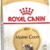 Royal Canin Maine Coon Adult - Kattenvoer - 10 Kg