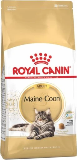Royal Canin Maine Coon Adult - Kattenvoer - 10 Kg