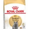 Royal Canin British Shorthair Adult - Kattenvoer - 4 Kg