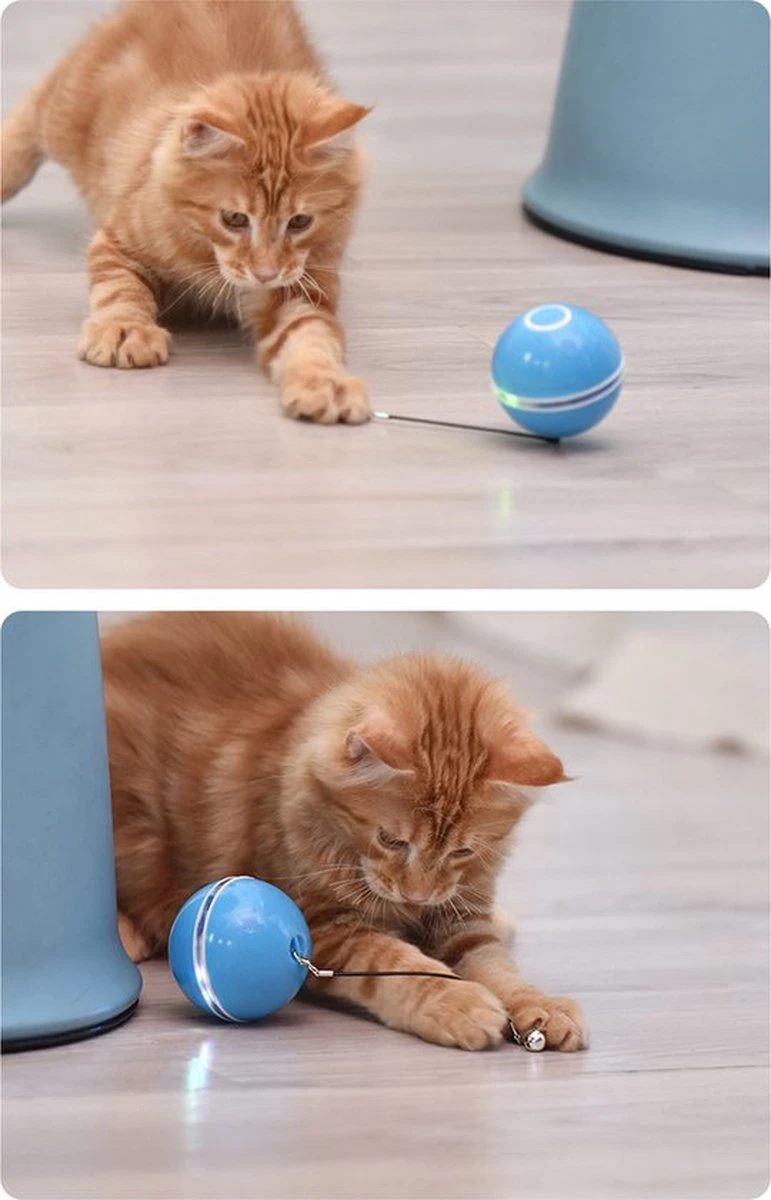 Otiume Elektrische Speelbal - Slimme Interactieve Zelfrollende Bal - Speelgoed Voor Katten - Kattenspeelgoed - Blauw - Afbeelding 8