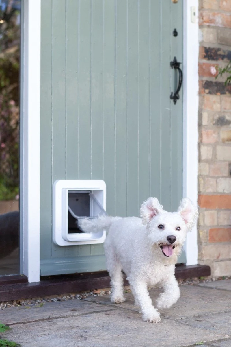 Sureflap Dierenluik Microchip S - Kattenluik - 20x20x7 Cm Wit - Afbeelding 5