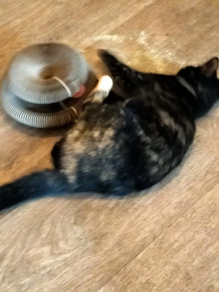 Kattenspeelgoed - Ronde, Opvouwbare En Vervormbare Krabmat Voor Katten Met Bal Met Belletjes Van Golfkartonpapier - Interactief Krabspeelgoed Voor Katten - Afbeelding 4