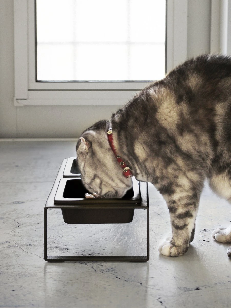 Yamazaki Eetbak - Voederbak Kat - Tweeledig - Zwart - Afbeelding 8