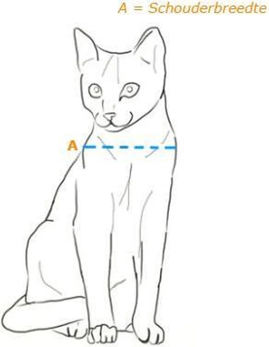 Petsafe 919 Classic - Wit - Kattenluik - 22,4 X 22,4 X 22,4 Cm - Afbeelding 12