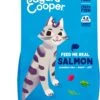Edgard & Cooper Kattenvoer Adult Zalm 4 Kg