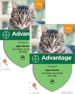Bayer Advantage 40 Kat 4 Pip - Anti Vlooienmiddel - 2 X 0.4 Ml - 0 - 4 Kg