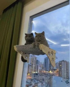 Merkloos Arnillo - Kattenhangmat - Kattenhangmat Raam - Kattenmand - Kattenbed - Kattenbed Raam - Kat Decoratie - Houten Kattenhangmat